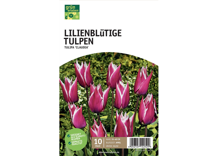 Lilienblütige Tulpen
