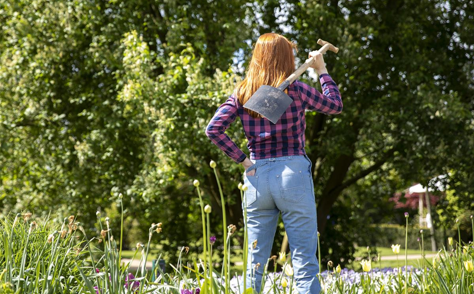 Schönes für den Garten - Unser Gartenkalender Schönes für den Garten - Unser Gartenkalender