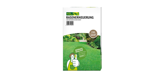 Rasenerneuerung 