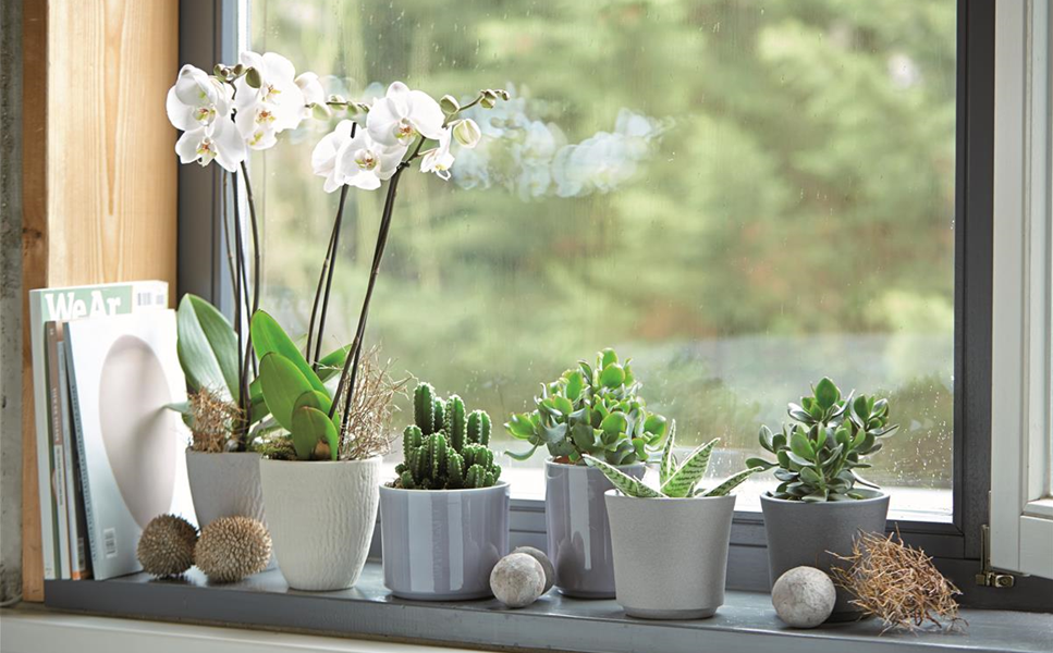 Innen - Hübsche Übertöpfe und Co. Innen - Hübsche Übertöpfe und Co.