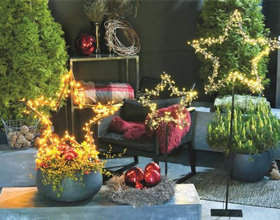 LICHTBLICKE IM WINTER-GARTEN!