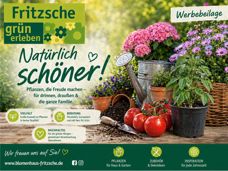 Unsere aktuelle Werbebeilage