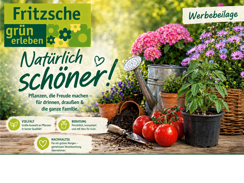 Unsere aktuelle Werbebeilage