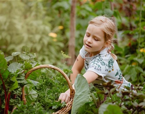 KINDER SPIELERISCH IN DIE ERNTE EINBEZIEHEN
